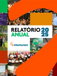 Relatório Anual 2025